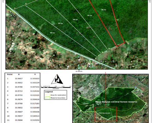 West-Bugwe-CFR-restoration-area_2_20230303-1