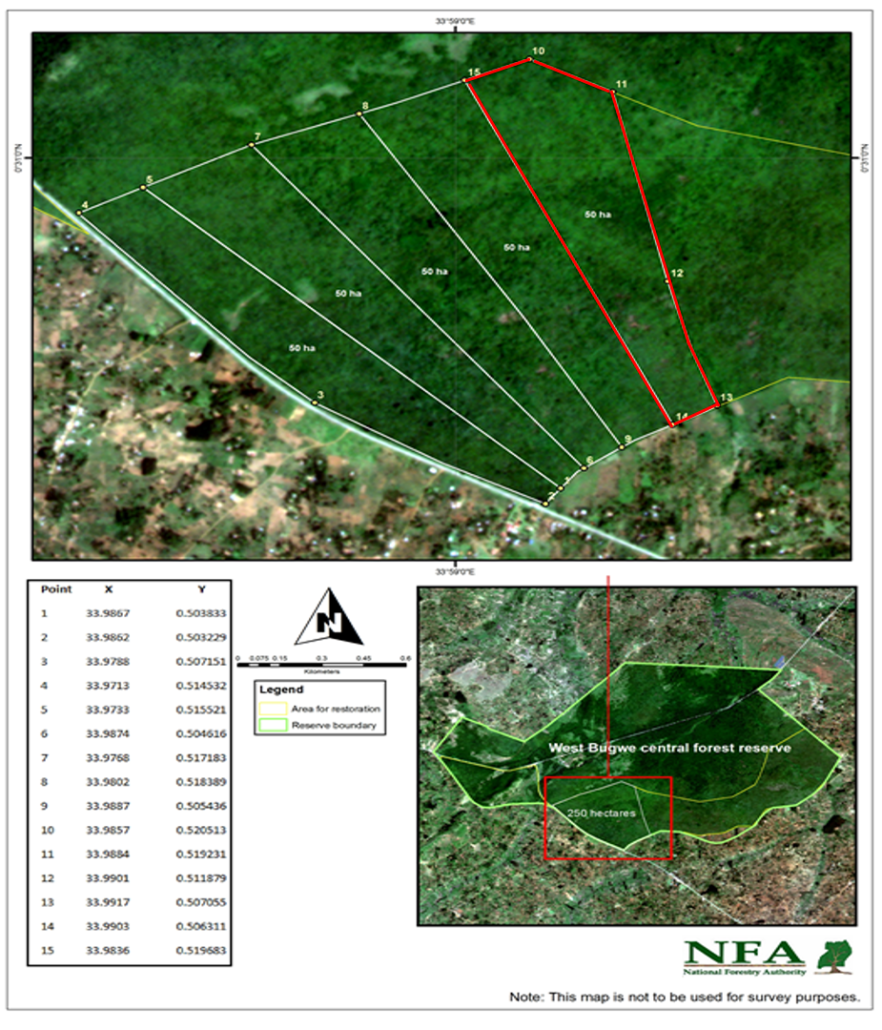West-Bugwe-CFR-restoration-area_2_20230303-1